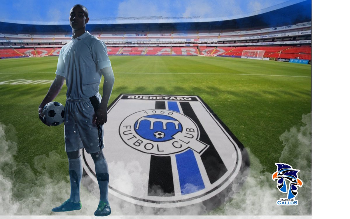 Marcaje Gallos tweet media