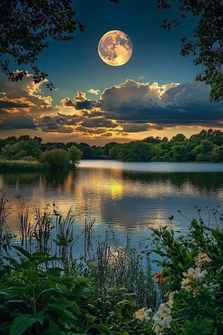Good night 🌠✨🌖dear friends 💖and sweet dreams. 💜🦋🌸💞Happy Tomorrow.💐🎶🧡🕊️