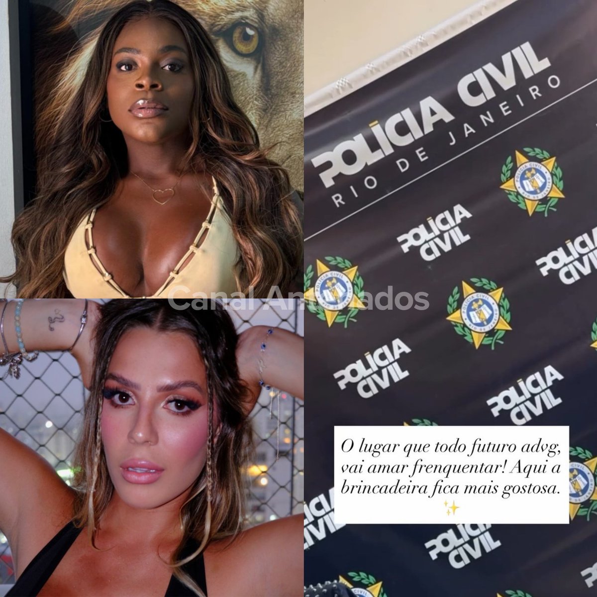 Antenados tweet media