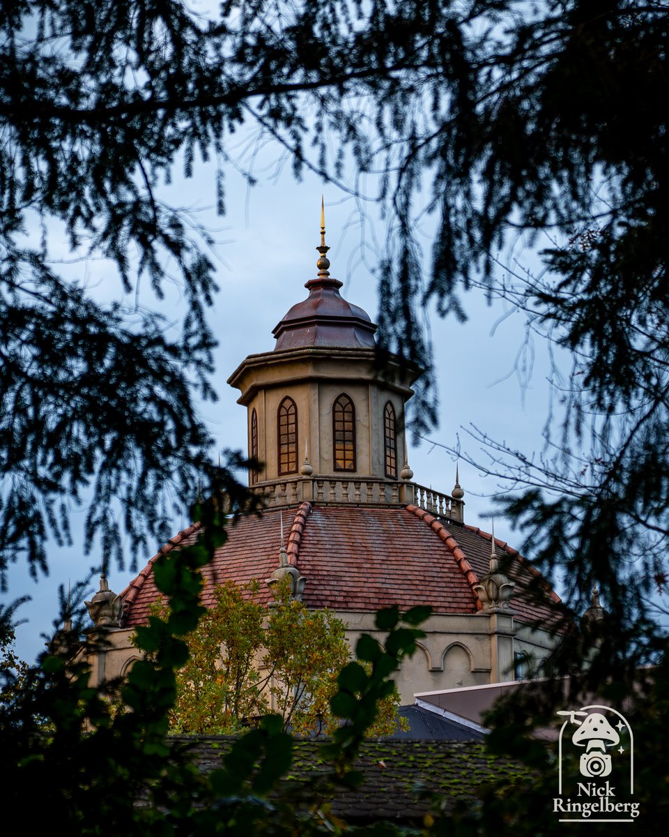 RingelbergNick's tweet image. De Efteling in 10 foto's 😱❤️😄

#efteling #themepark #brabant #fun