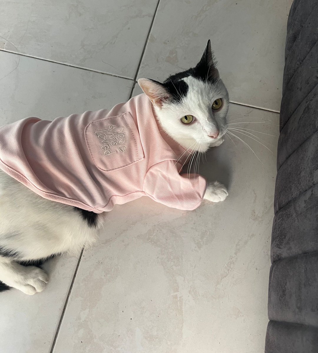 Gabrubyjane's tweet photo. Mí princesa https://t.co/C1xI5BvoQO