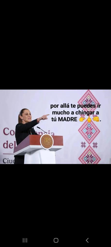 Delfin tweet media