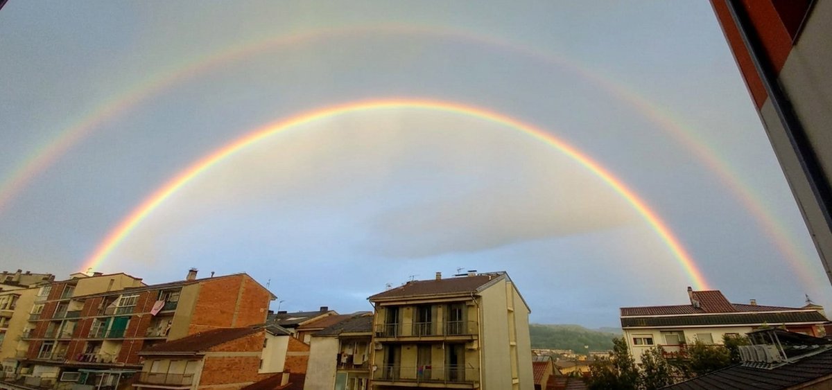 Ocells de la Garrotxa tweet media