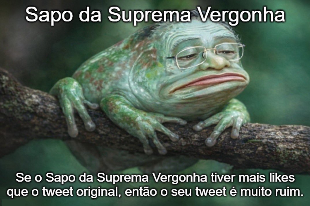 Bruno Aiub Show tweet media