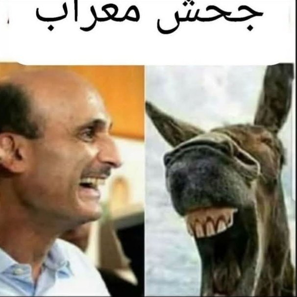 المرعب tweet media