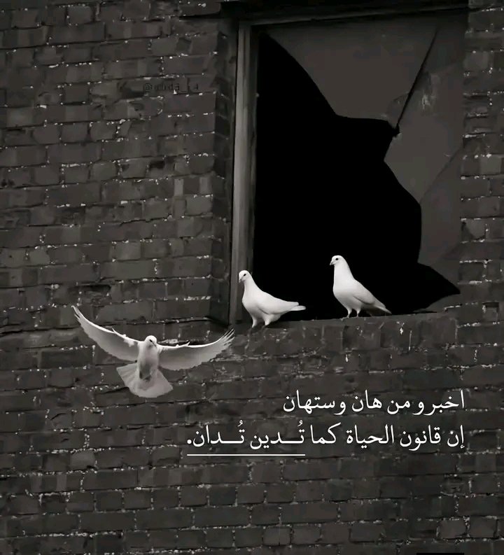 Joudah Mohammed tweet media