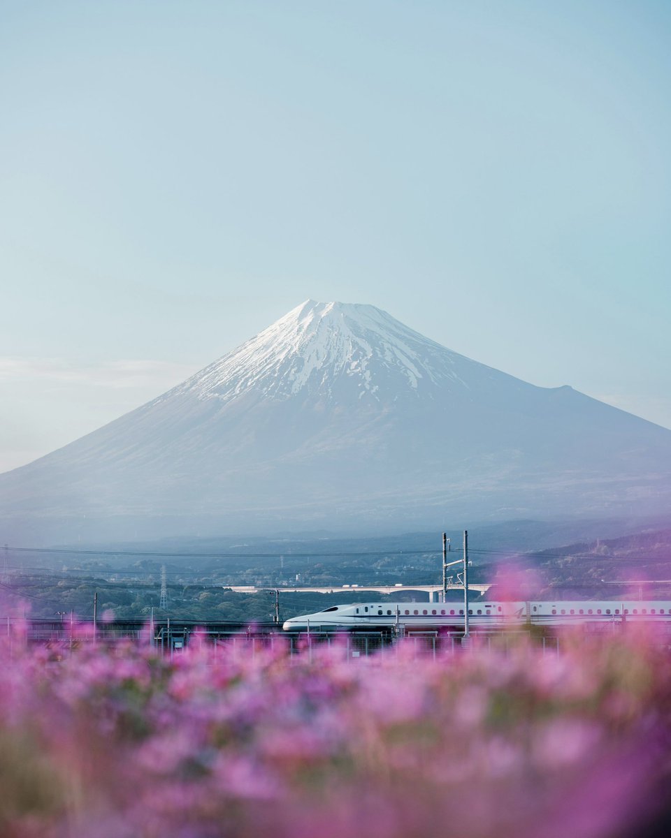 JAPAN 🇯🇵 tweet media