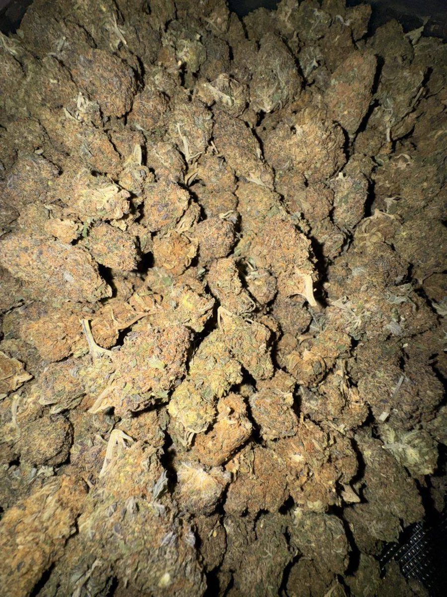 Galwayplug's tweet photo. Weed Ballinasloe, Weed Loughrea, Weed Athenry, Weed Tuam, Weed Gort, Weed Clifden, Weed Kiltullagh, Weed Portumna, Weed Moycullen, and Weed Craughwell. https://t.co/kOLknDKRZH