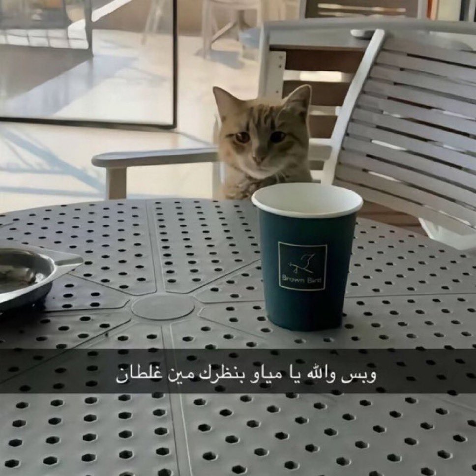 َََََ (@6lll_s) on Twitter photo 