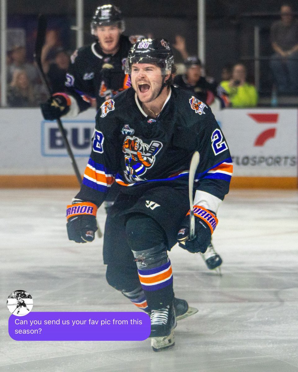 Knoxville Ice Bears tweet media