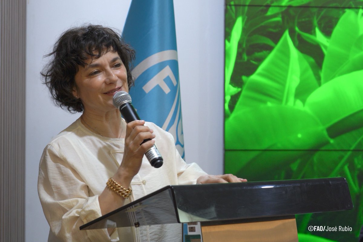 FAOPERU's tweet photo. #Hilo
Mariana Escobar, representante de @FAOPERU, destacó el liderazgo de 🇵🇪 en la cadena de valor de la papa durante visita de una delegación de Lesotho. Señaló que es un encuentro entre dos naciones unidas por la #seguridadalimentaria y el futuro de un cultivo clave para el 🌎 https://t.co/sBzQlysBFf