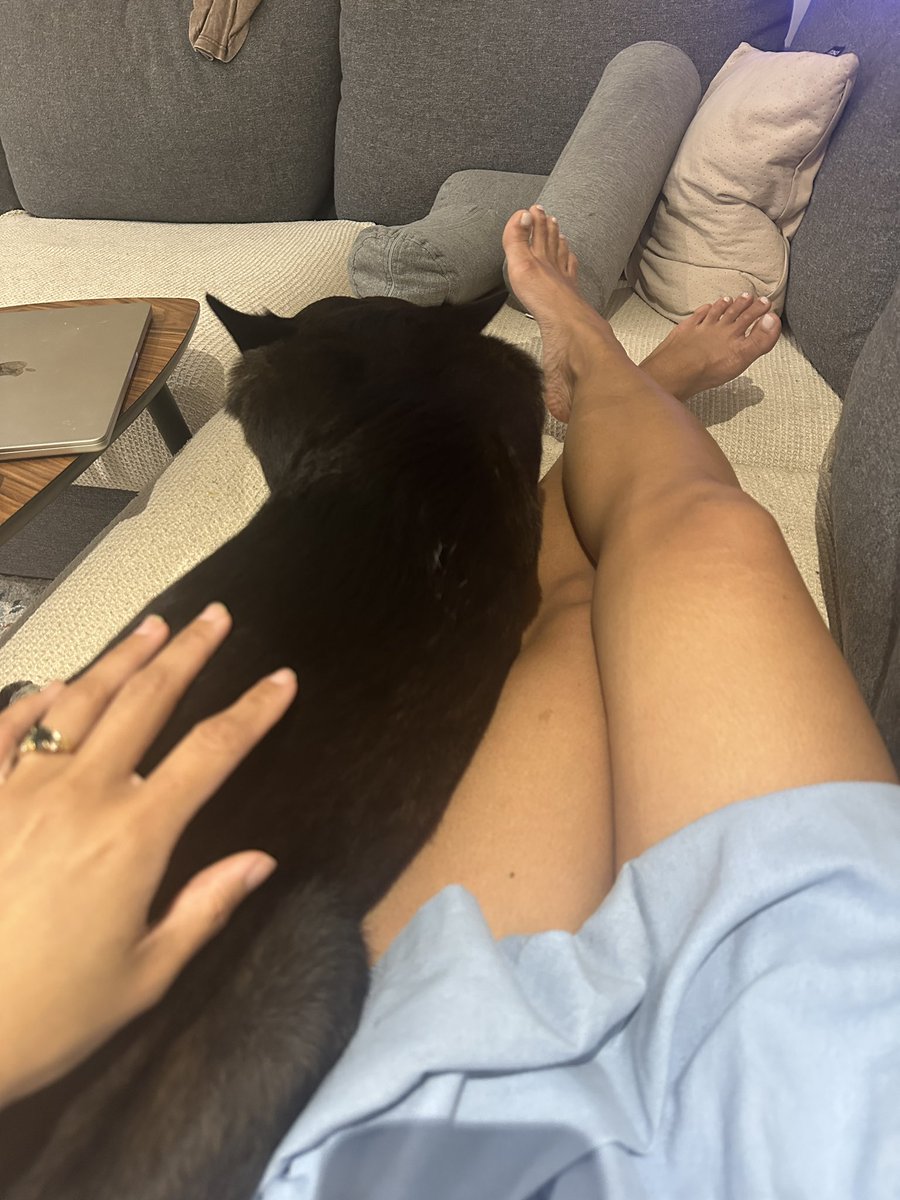 tadeessenemesis's tweet photo. Les seuls véritables beaux chiens qui ont le droit de rester coller à Moi peu importe l'heure de la journée  🖤 https://t.co/awdWUxpT9V
