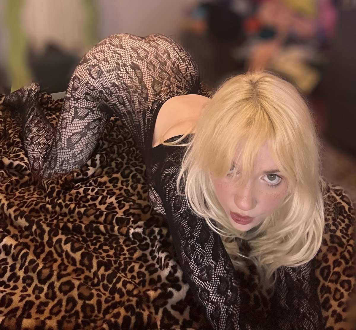 spicy bardot tweet media