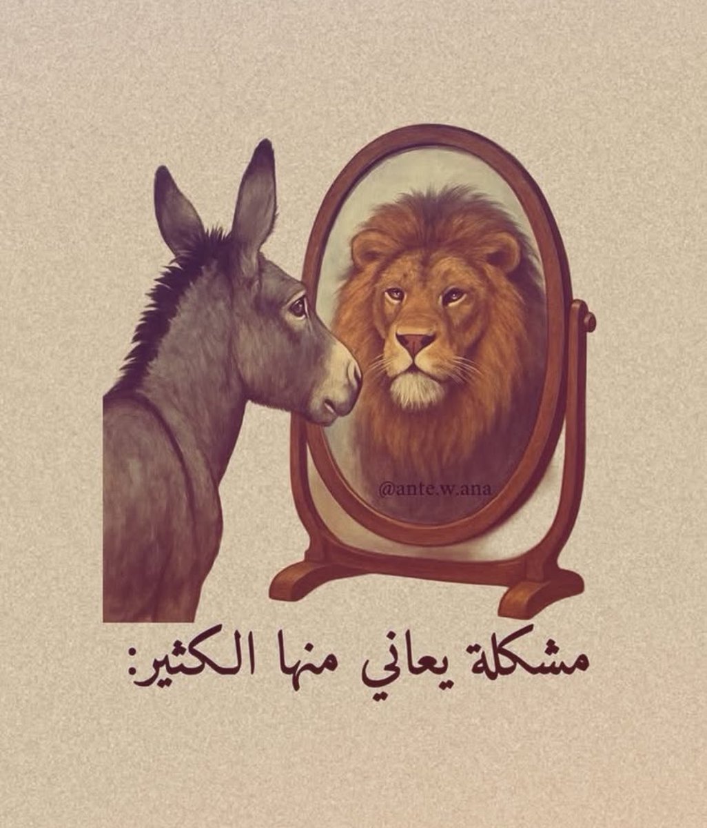 الهيام tweet media