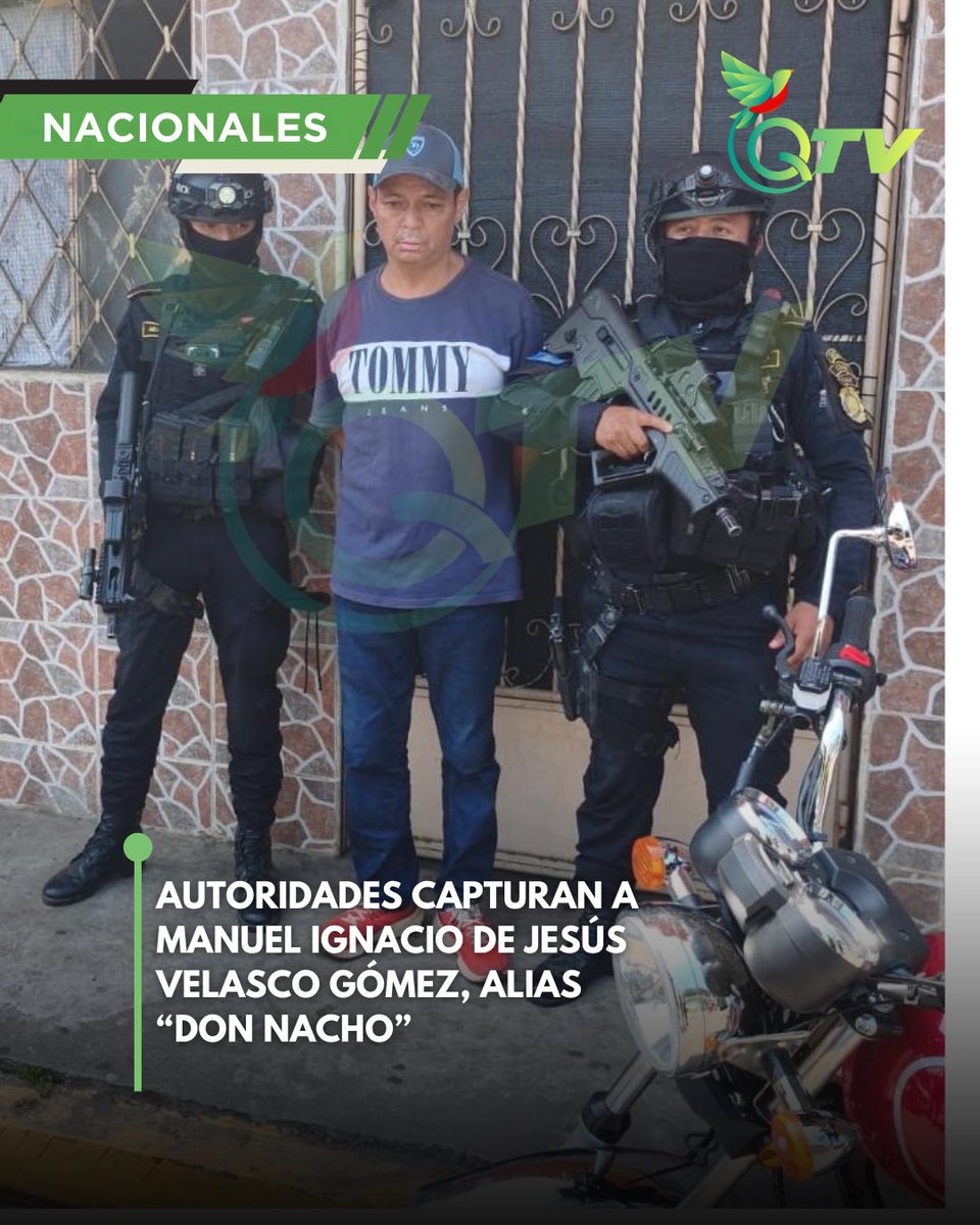 quetzaltv_ tweet media