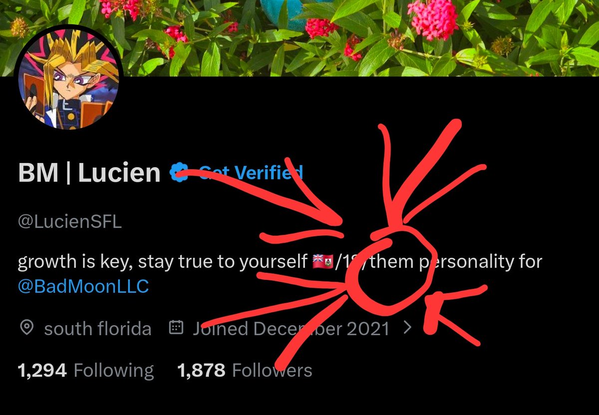 BM | Lucien tweet media