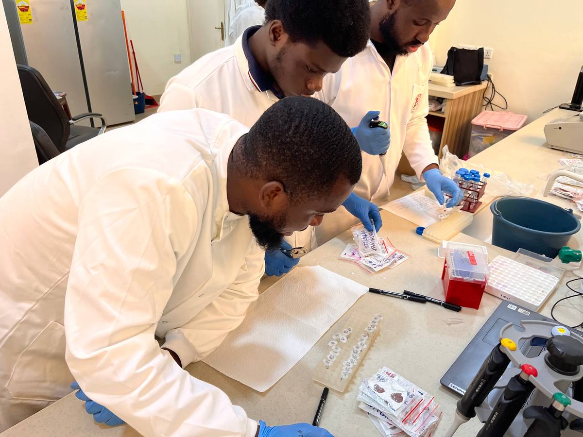 DinkoGroup's tweet photo. Our week-long intensive #Molecularbiology training has officially concluded. It was a week defined by mastery of basic molecular techniques.

Special thanks to Dr Dinko, team leader, Richmond Tackie, for facilitating and to our young scientists.
 #ResearchAndDevelopment #LITD https://t.co/LVYc4pTM6b