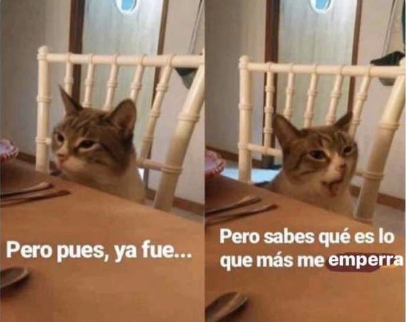 Chui tweet media