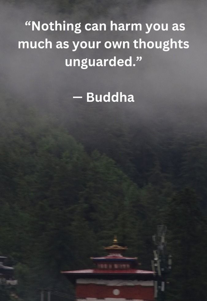 Zen masters (@zenm001) on Twitter photo 