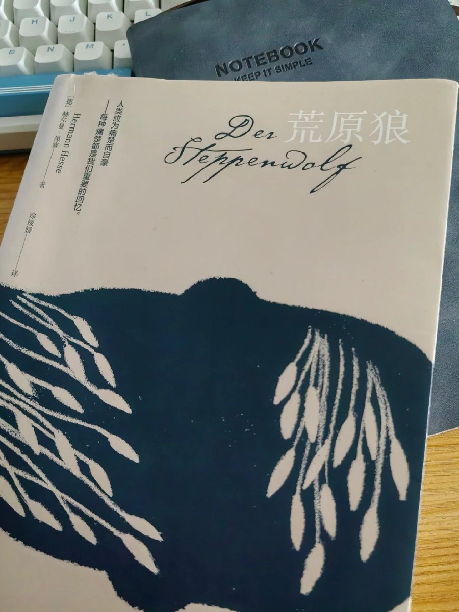 VelvetDreamkk's tweet photo. ヘッセの名著、読み終えて感慨深い。 https://t.co/CCdO4W2Fxy