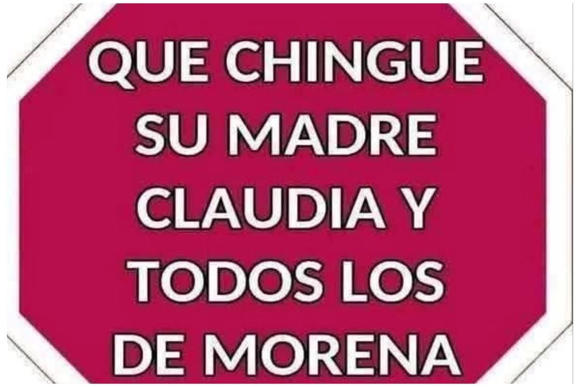 Gabriela Rguez tweet media
