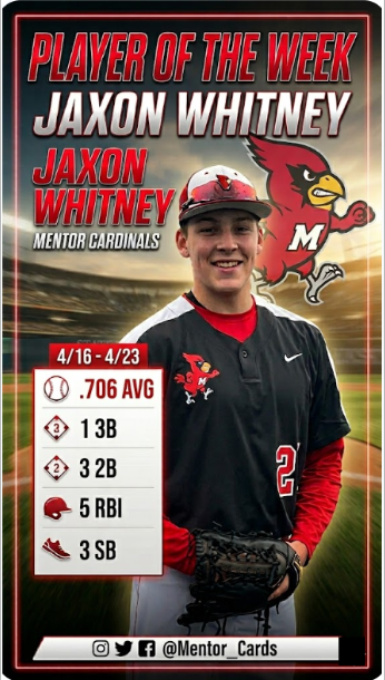Mentor_Cards's tweet photo. https://t.co/TMA61moy1I