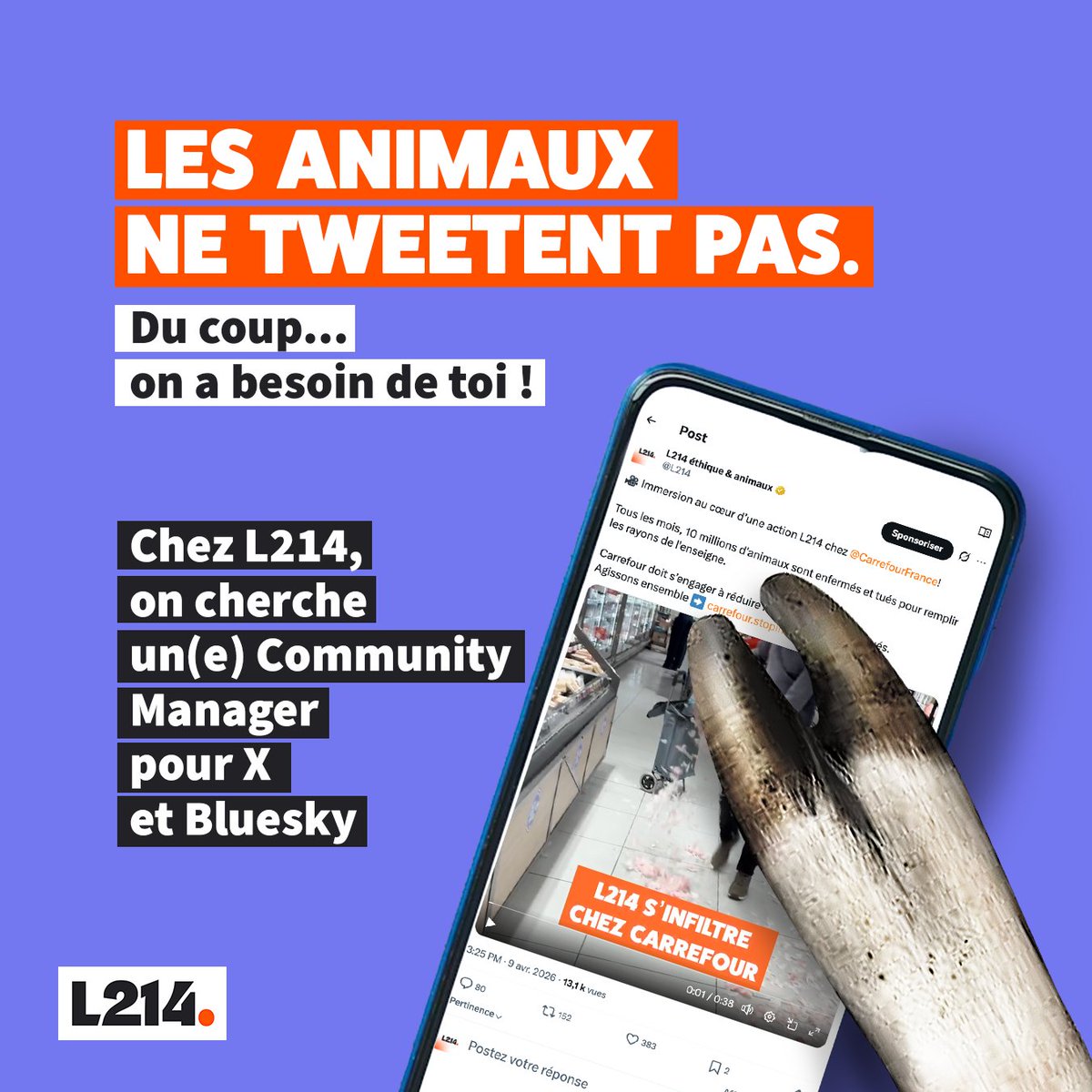 L214 éthique & animaux tweet media