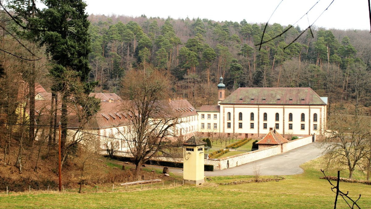 randoenalsace's tweet photo. La rando de la semaine : Osenbuhr à partir du Schauenberg #randoenalsace https://t.co/iJIz7V9sW7