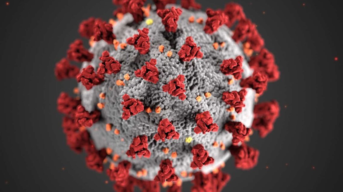 Itongadol's tweet photo. ¿Un vínculo entre el COVID y el cáncer de pulmón? Médicos del Hadassah hallan esperanza para la detección temprana en un estudio conjunto
Ver más: https://t.co/4JlOSmRkMp
#Hadassah #Israel @Hadassah @Israel https://t.co/xn0hXUN0it