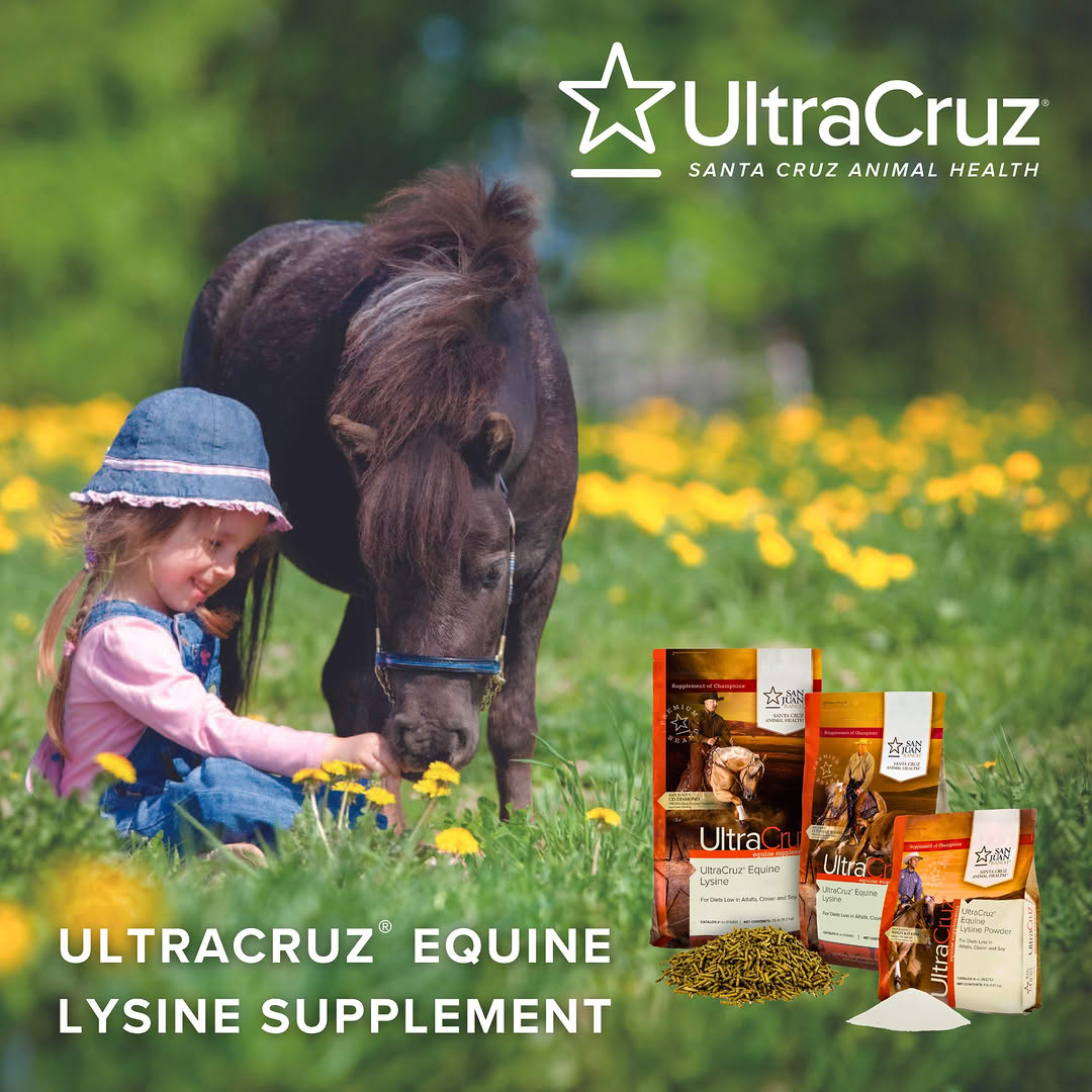 SCA_Health's tweet photo. ✨ Essential amino acid supplement to support growth and development
✨ Helps promote healthy hair, hooves, and muscle development
✨ Ideal for weaned foals, broodmares, performance horses, and horses with a grass-based diet

#PoweredByUltraCruz
#UltraCruz
#ChoiceofChampions https://t.co/O0X8s39FmY