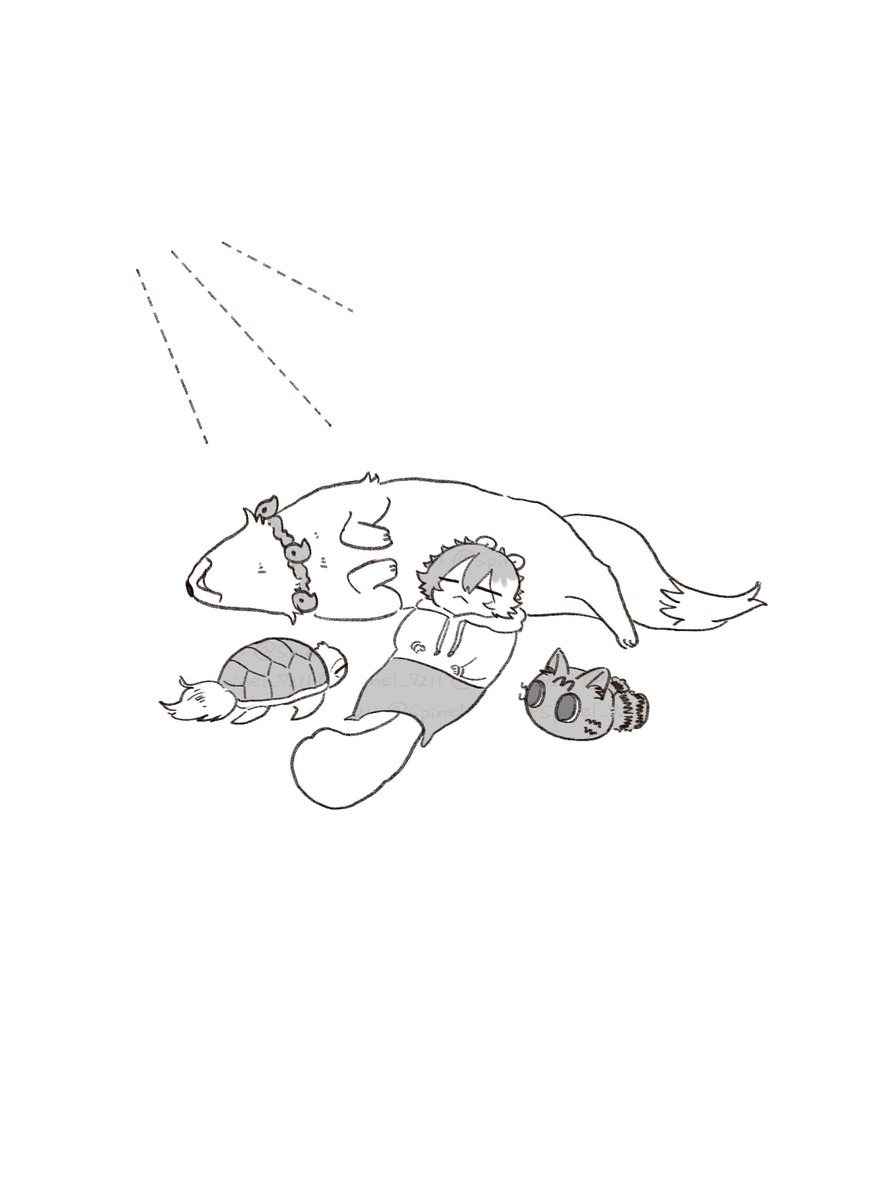 寝ろ tweet media