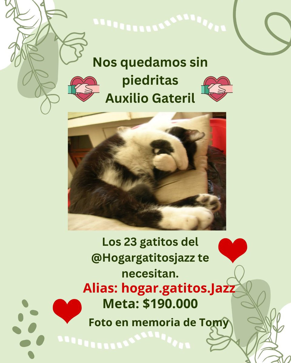 🇦🇷👑Merlina Addams🇻🇪🐱🇺🇦 tweet media