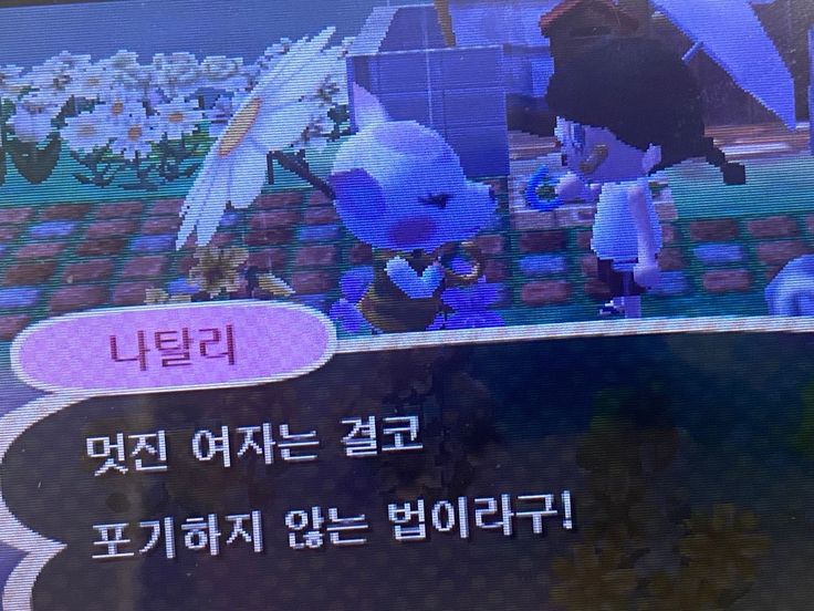 백 tweet media
