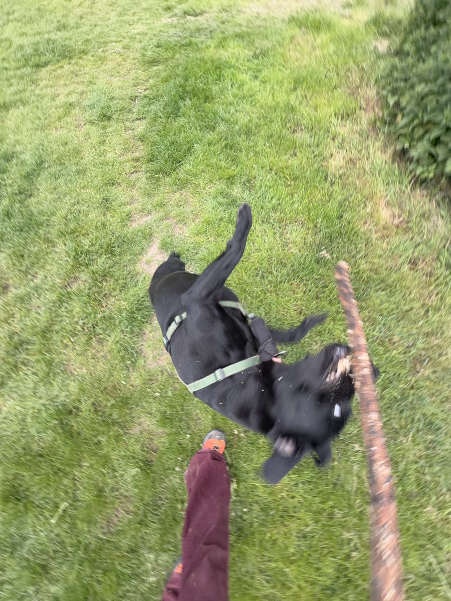 pov u r stick