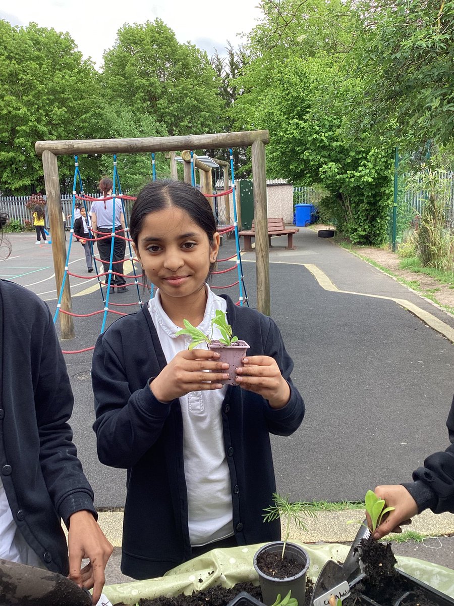 year_holy's tweet photo. We have been checking on our plants and following Mrs W’s step-by-step planting instructions &amp; encouraging our seeds of hope to grow taller!  These moments build leadership, confidence &amp; connection....while learning outdoors sparks curiosity! #CSTHFB10 #REHFB10 @HolyFamilyScho1 https://t.co/z2UMUH6ZCR