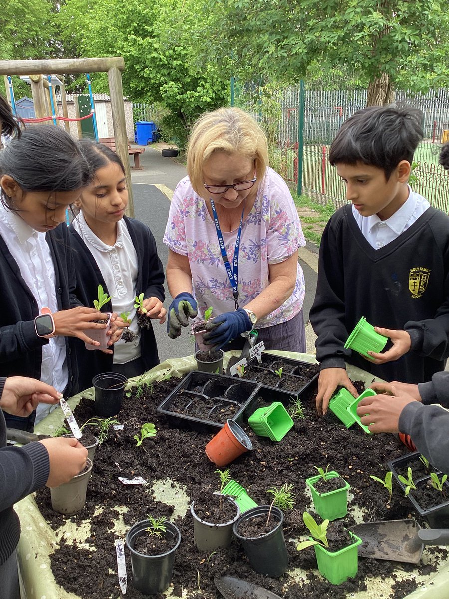 year_holy's tweet photo. We have been checking on our plants and following Mrs W’s step-by-step planting instructions &amp; encouraging our seeds of hope to grow taller!  These moments build leadership, confidence &amp; connection....while learning outdoors sparks curiosity! #CSTHFB10 #REHFB10 @HolyFamilyScho1 https://t.co/z2UMUH6ZCR
