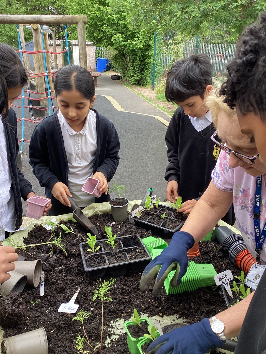 year_holy's tweet photo. We have been checking on our plants and following Mrs W’s step-by-step planting instructions &amp; encouraging our seeds of hope to grow taller!  These moments build leadership, confidence &amp; connection....while learning outdoors sparks curiosity! #CSTHFB10 #REHFB10 @HolyFamilyScho1 https://t.co/z2UMUH6ZCR