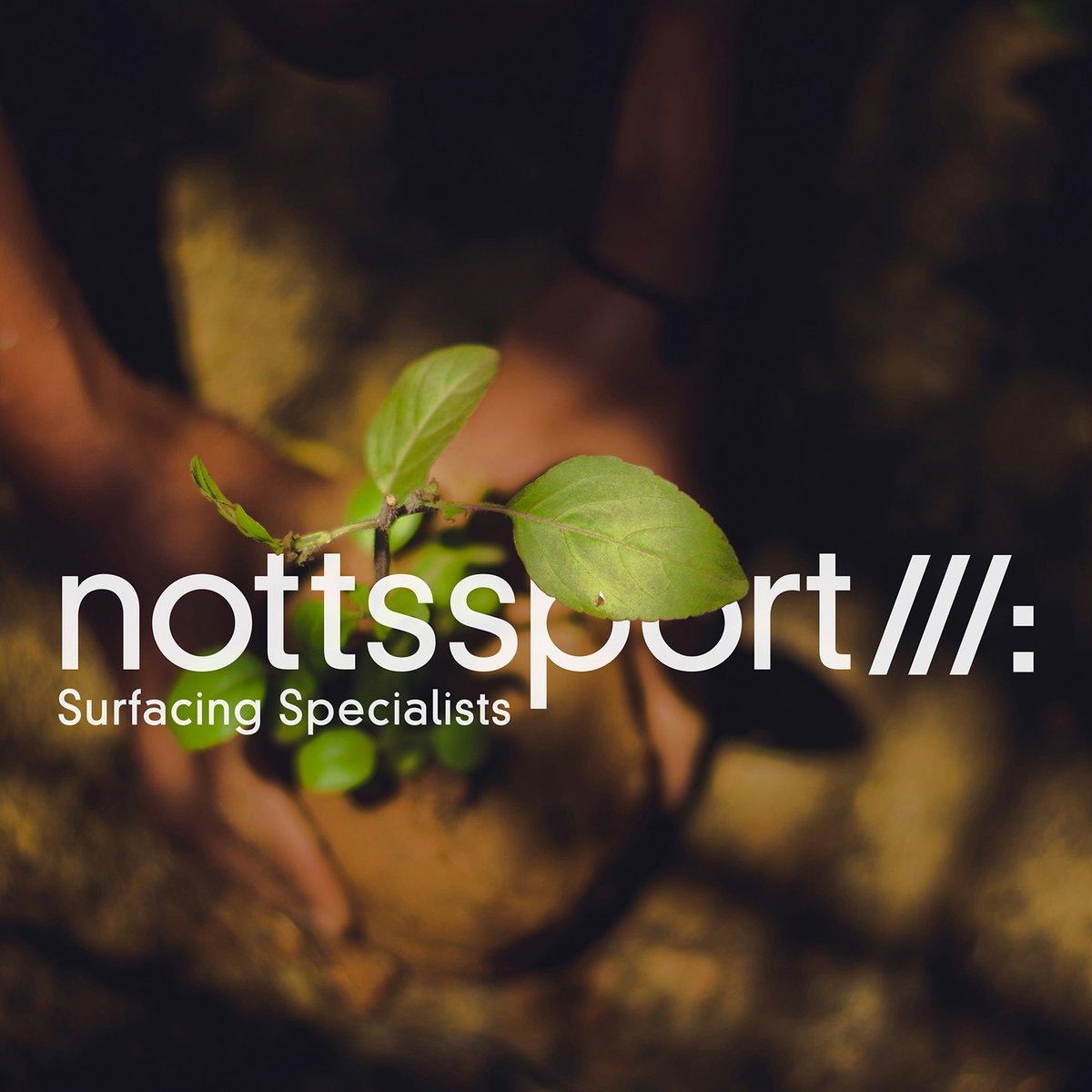 Notts Sport tweet media