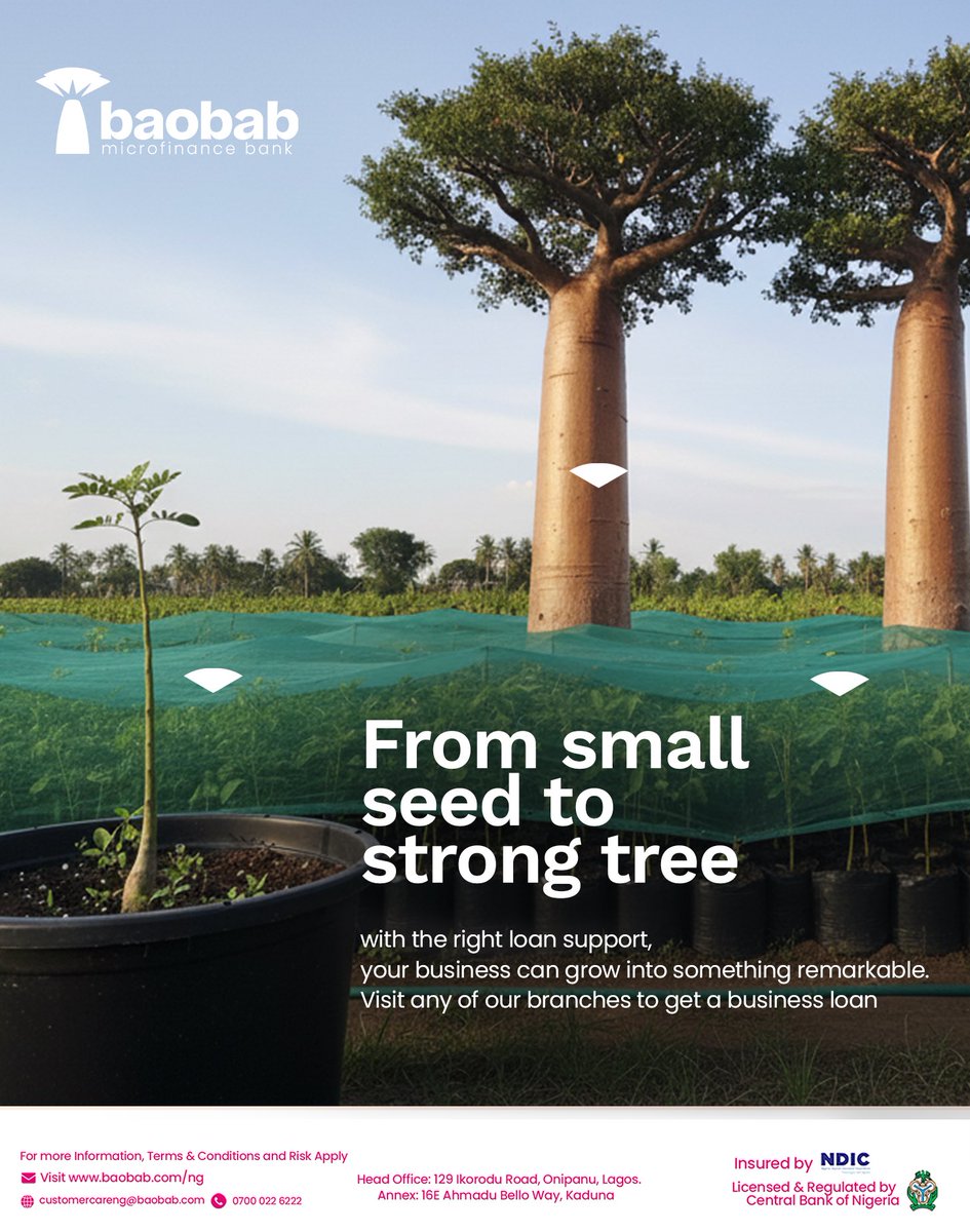 Baobab Nigeria tweet media