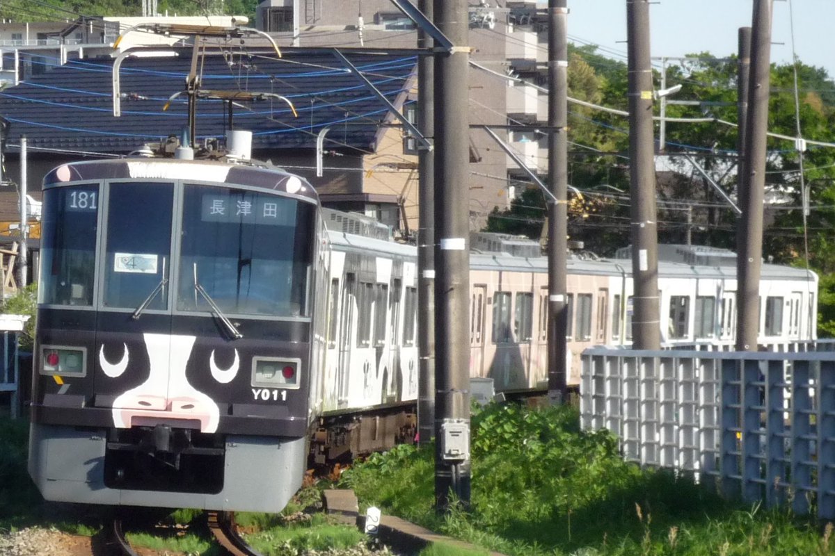 ほくそう⚒️🍃🎹✨️🛸💜 tweet media