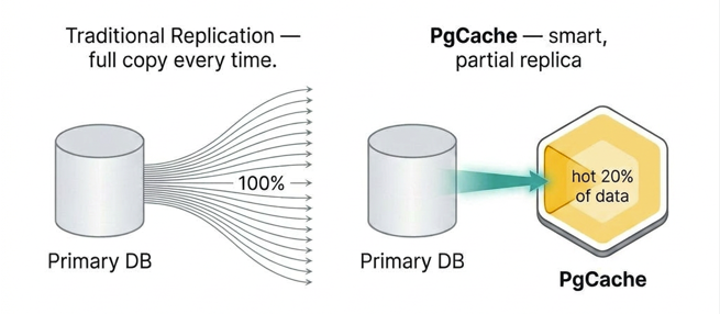 PgCache tweet media