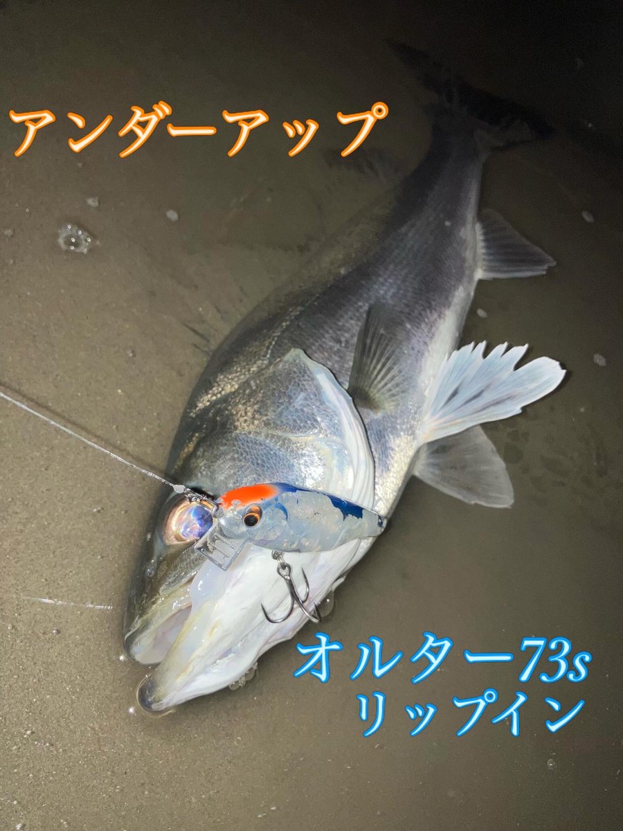 カイト tweet media