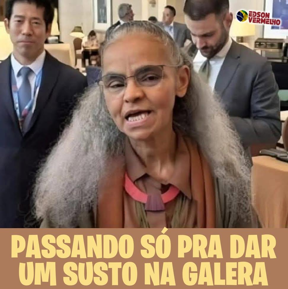 Thais 🇧🇷☘️💞 tweet media