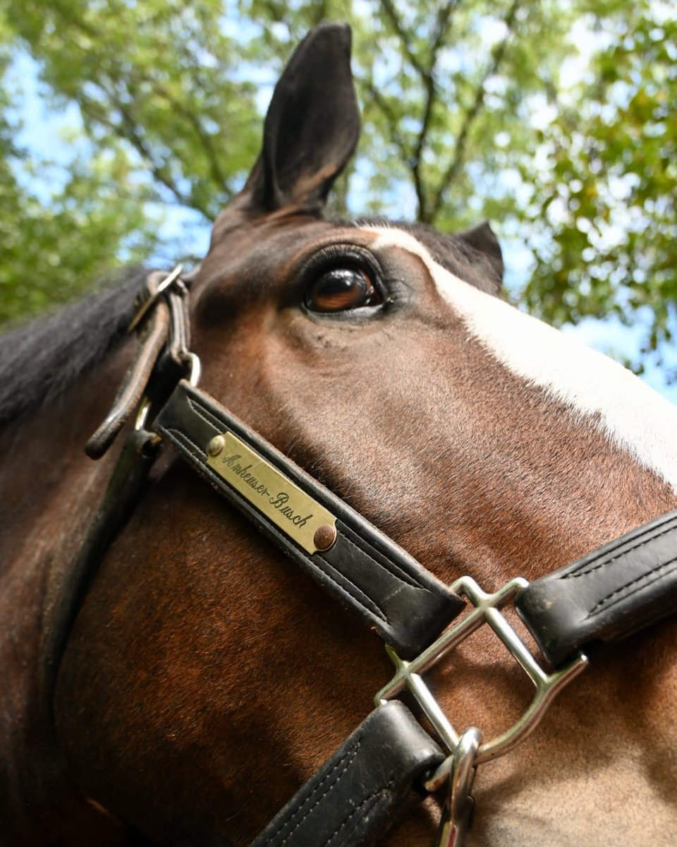 Warm Springs Ranch tweet media