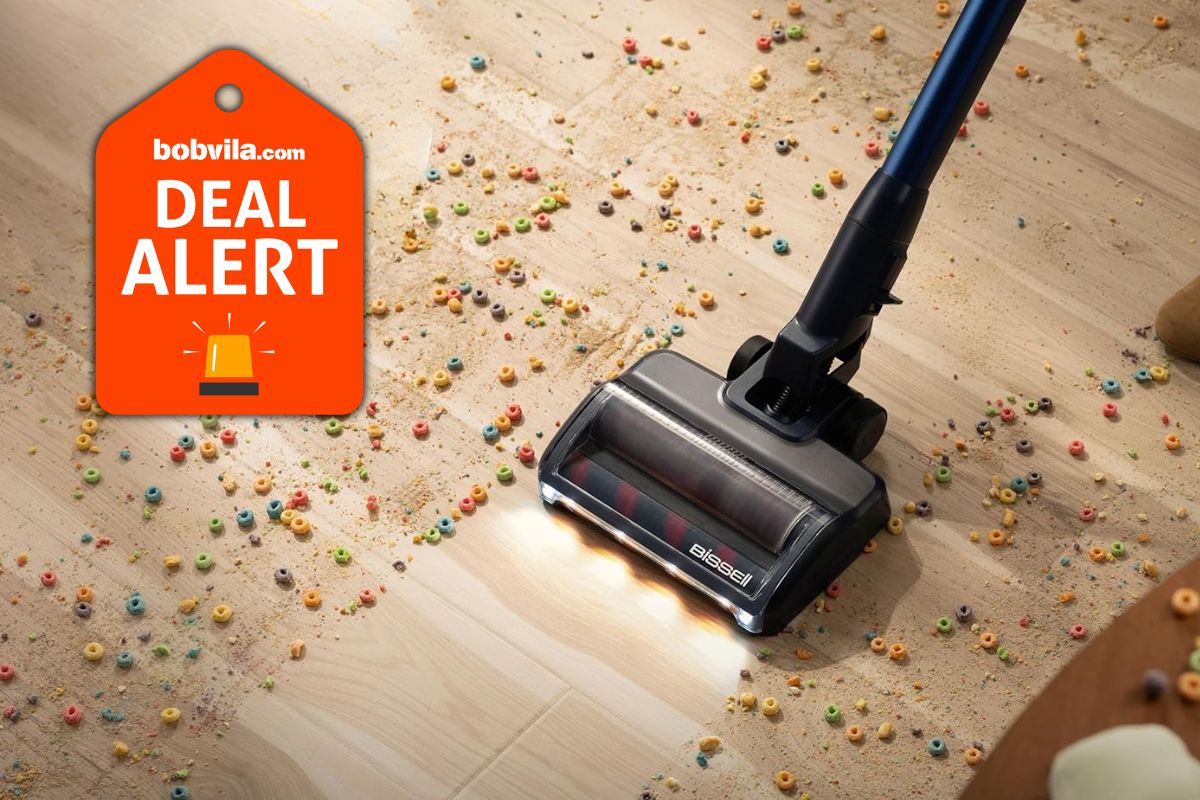 DustinMPeyser's tweet image. Amazon Just Dropped This Bissell Stick Vacuum to Its Lowest Price Ever—Save $100 dlvr.it/TSNWKd 👉 Reveal Your ROI bit.ly/MyHomeAI 👈 #BissellVacuum #AmazonDeals #HomeCleaning #StickVacuum #SpringCleaning