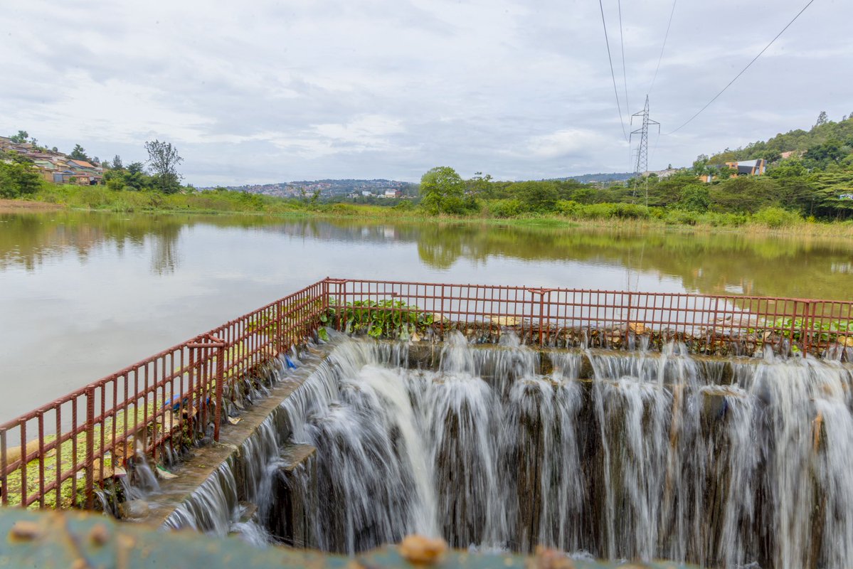 CityofKigali's tweet image. IN PICTURES

Restoration works for Kigali’s wetlands are ongoing, with the aim of transforming them into attractive eco tourism destinations, while also restoring biodiversity and improving water management across the city.

The wetlands currently under restoration include