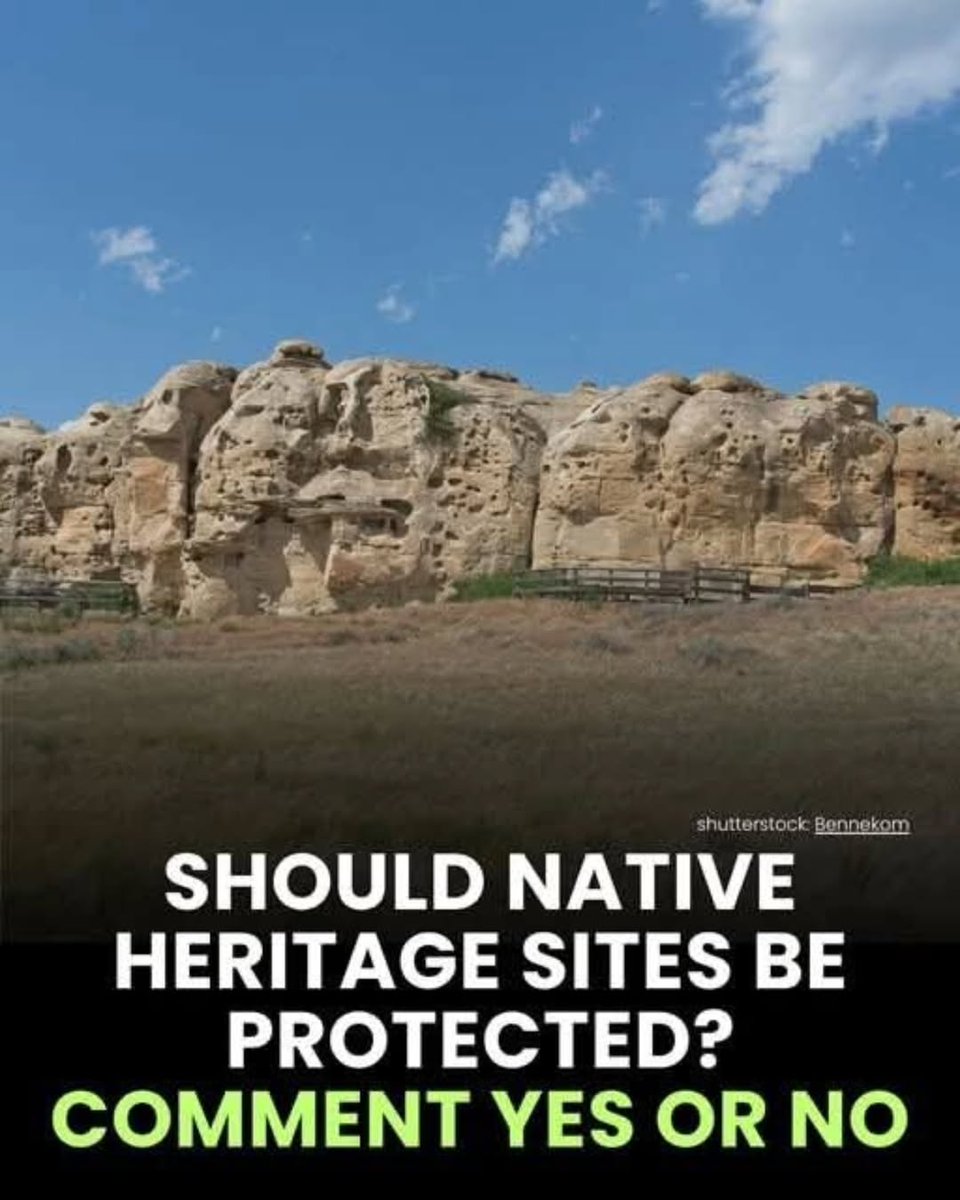 nativeamerican.usa tweet media