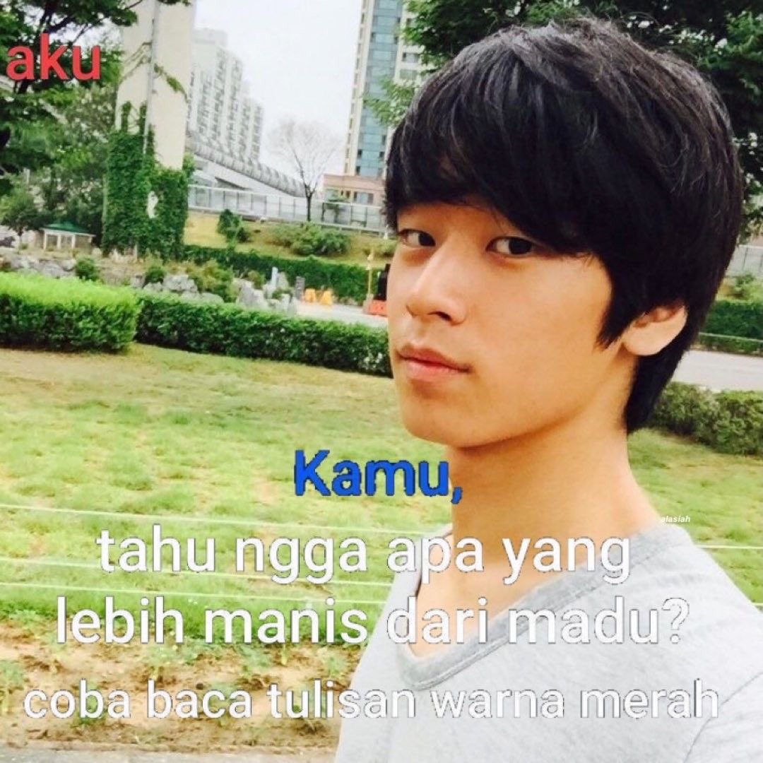Laut tweet media