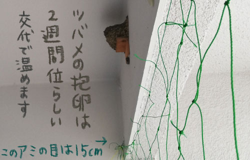 1日おきメモ（中原じゅん子） tweet media