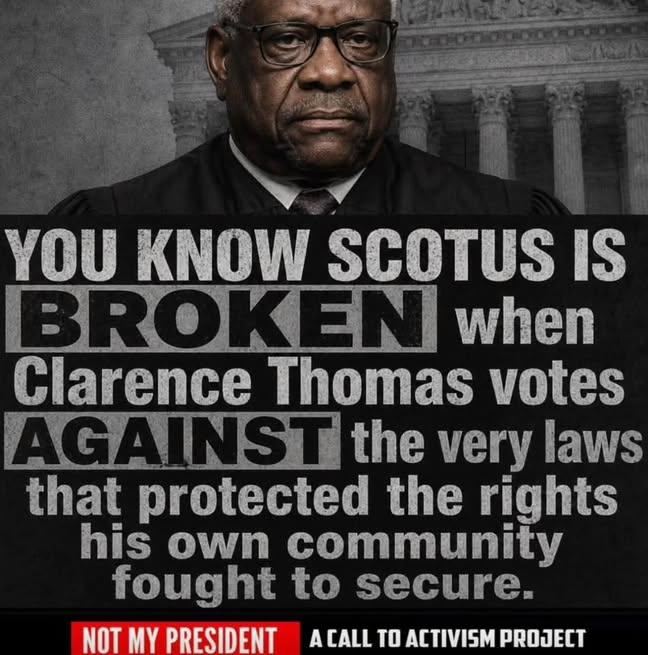 TIMOTHY tweet media